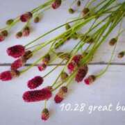 ヒメ日記 2025/10/28 09:37 投稿 めぐみ Grace東京