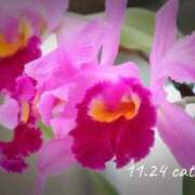 めぐみ 11.24 Grace東京