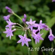 ヒメ日記 2025/12/10 07:37 投稿 めぐみ Grace東京