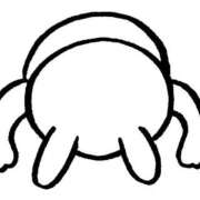 ヒメ日記 2025/12/12 07:33 投稿 めぐみ Grace東京