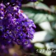 ヒメ日記 2026/01/27 07:08 投稿 めぐみ Grace東京