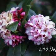 めぐみ 2.10 Grace東京