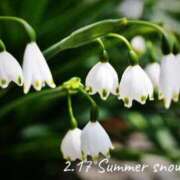 めぐみ 2.17 Grace東京