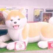 ヒメ日記 2025/10/15 10:31 投稿 える 新橋フェアリーズ