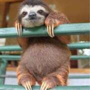 杉下 ✨18日✨ 西川口デッドボール