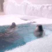 ヒメ日記 2026/01/20 20:00 投稿 ゆいか ぷるるん小町日本橋店