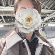 ヒメ日記 2025/11/11 22:50 投稿 みおり マダム錦糸町