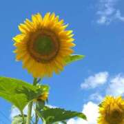 ヒメ日記 2025/10/30 18:45 投稿 みつき 妊婦母乳風俗専門店ミルクランド