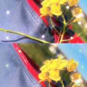 ヒメ日記 2025/11/14 09:49 投稿 みつき 妊婦母乳風俗専門店ミルクランド