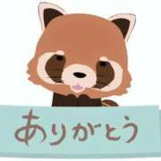 ヒメ日記 2025/11/18 16:06 投稿 みつき 妊婦母乳風俗専門店ミルクランド