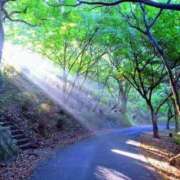 ヒメ日記 2025/11/26 09:34 投稿 みつき 妊婦母乳風俗専門店ミルクランド