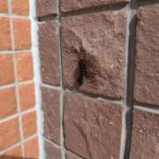 まみ 【お礼写メ日記】 大奥 梅田店