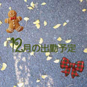 ヒメ日記 2025/11/20 22:35 投稿 ねね ぺろぺろベロベロ専科 ぺろんちょ