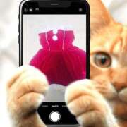 ヒメ日記 2025/12/08 17:15 投稿 ねね ぺろぺろベロベロ専科 ぺろんちょ