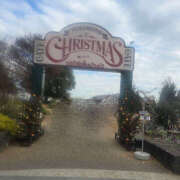 ヒメ日記 2025/12/12 13:55 投稿 ねね ぺろぺろベロベロ専科 ぺろんちょ