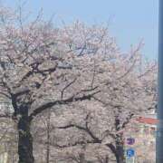 ヒメ日記 2026/03/30 22:05 投稿 ねね ぺろぺろベロベロ専科 ぺろんちょ