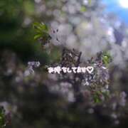 ヒメ日記 2026/04/08 10:55 投稿 ねね ぺろぺろベロベロ専科 ぺろんちょ