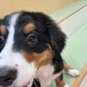 ヒメ日記 2025/12/01 15:35 投稿 カナ Club Hearts