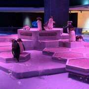 ヒメ日記 2026/02/23 22:18 投稿 カナ Club Hearts