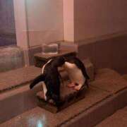 ヒメ日記 2026/03/04 15:01 投稿 カナ Club Hearts