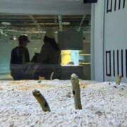 ヒメ日記 2026/04/15 00:42 投稿 カナ Club Hearts