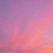 ヒメ日記 2025/11/15 15:08 投稿 ひかり 11チャンネル