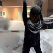 ヒメ日記 2026/02/06 15:22 投稿 ひかり 11チャンネル