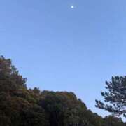 ヒメ日記 2026/02/07 11:17 投稿 ひかり 11チャンネル