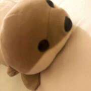 ヒメ日記 2026/02/12 16:31 投稿 ひかり 11チャンネル