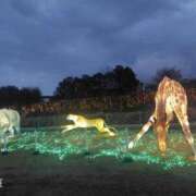 さくら どうぞ宜しくお願いします 川越おかあさん