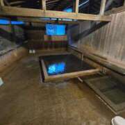 ヒメ日記 2025/10/28 09:17 投稿 さくら 大宮おかあさん