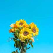 ヒメ日記 2025/10/13 12:45 投稿 ふじこ 完全密室 無抵抗