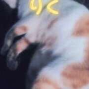 (EV)りく ドエロ 淫乱 先週土曜日お礼&水曜日出勤...💕 Barneys(バーニーズ)