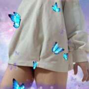 ヒメ日記 2025/11/18 08:49 投稿 松山みみ 熟女パラダイス京都店（カサブランカグループ）