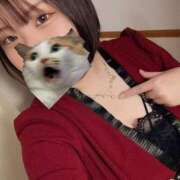 せいな 今週の出勤日についてついて ぽっちゃり巨乳専門店 町田相模原ちゃんこ