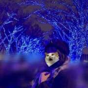 ヒメ日記 2025/12/27 01:00 投稿 せいな ぽっちゃり巨乳専門店 町田相模原ちゃんこ