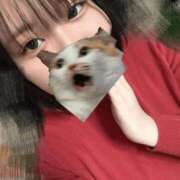 せいな 今週の出勤日について ぽっちゃり巨乳専門店 町田相模原ちゃんこ