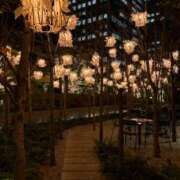 ヒメ日記 2026/01/15 19:01 投稿 せいな ぽっちゃり巨乳専門店 町田相模原ちゃんこ