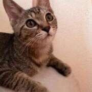 ヒメ日記 2026/02/06 17:45 投稿 高田れいな 大人のエッチなエステ