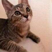 ヒメ日記 2026/03/19 16:55 投稿 高田れいな 大人のエッチなエステ