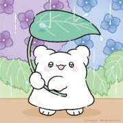 ヒメ日記 2025/10/26 13:01 投稿 はる 新宿本店 ぽちゃカワ女子専門店