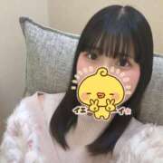 はる こんばんは！ 新宿本店 ぽちゃカワ女子専門店