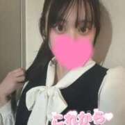 ヒメ日記 2026/02/18 15:29 投稿 夜桜あさひ 池袋パラダイス