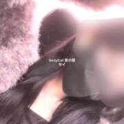 ヒメ日記 2025/10/12 11:00 投稿 セイ セクシーキャット 小田原店