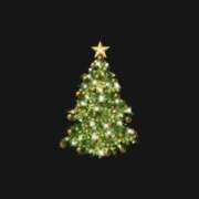 ヒメ日記 2025/12/25 07:00 投稿 セイ セクシーキャット 小田原店