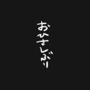 ヒメ日記 2026/06/21 07:00 投稿 セイ セクシーキャット 小田原店