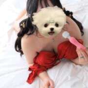 ヒメ日記 2025/11/17 15:02 投稿 なつほ 熊谷人妻城