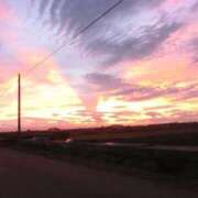 ヒメ日記 2025/10/14 16:19 投稿 ゆうき 奥様鉄道69 岡山店