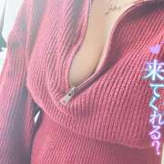 ヒメ日記 2025/11/26 09:10 投稿 つばさ サマンサ 堺店