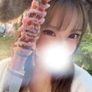 ヒメ日記 2025/11/04 03:01 投稿 ゆゆ ビギナーズ神戸